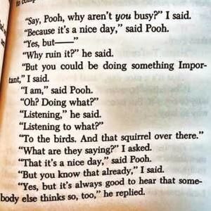 Meet your Posher, Monica